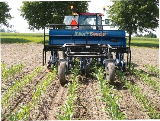 Interseeding impacts - Top Crop ManagerTop Crop Manager