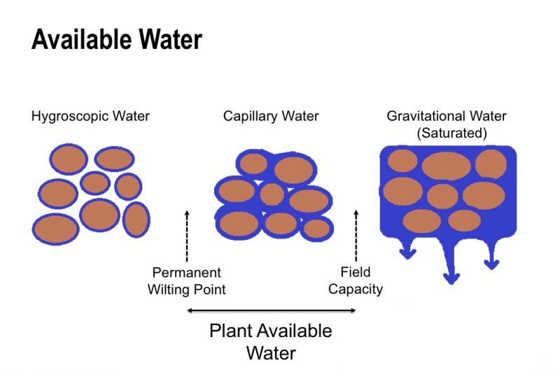 can-microbes-access-carbon-in-soils-soil-carbon-information-hub