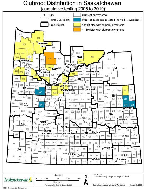 Updated Saskatchewan Clubroot Distribution Map released - Top Crop ...