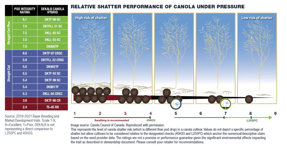 Experience a faster, smoother, smarter harvest with DEKALB canola and